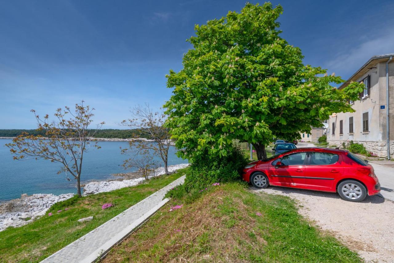 Apartment Dobric Koromacno Luaran gambar