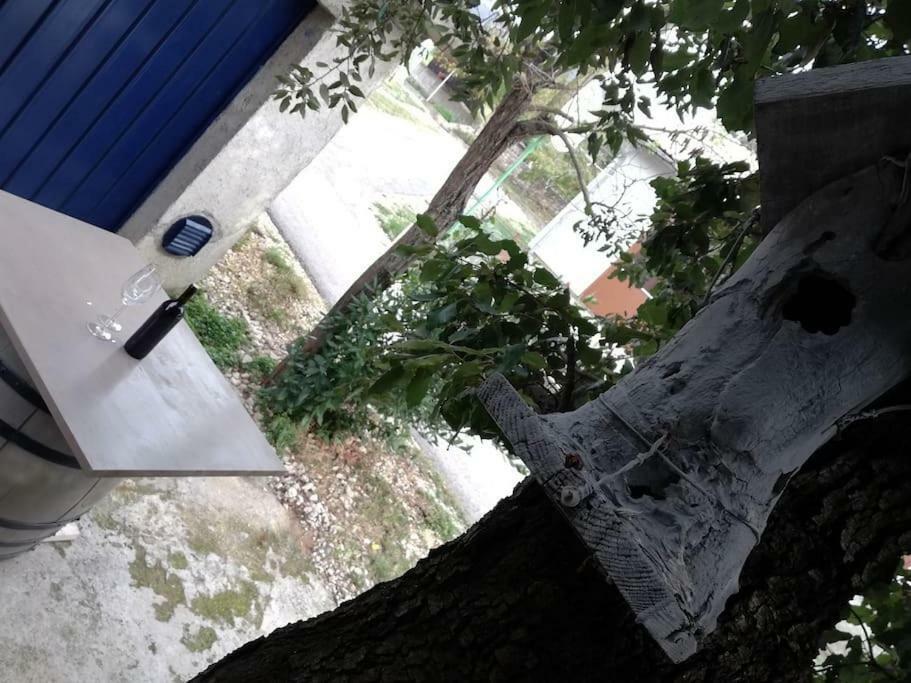 Apartment Dobric Koromacno Luaran gambar